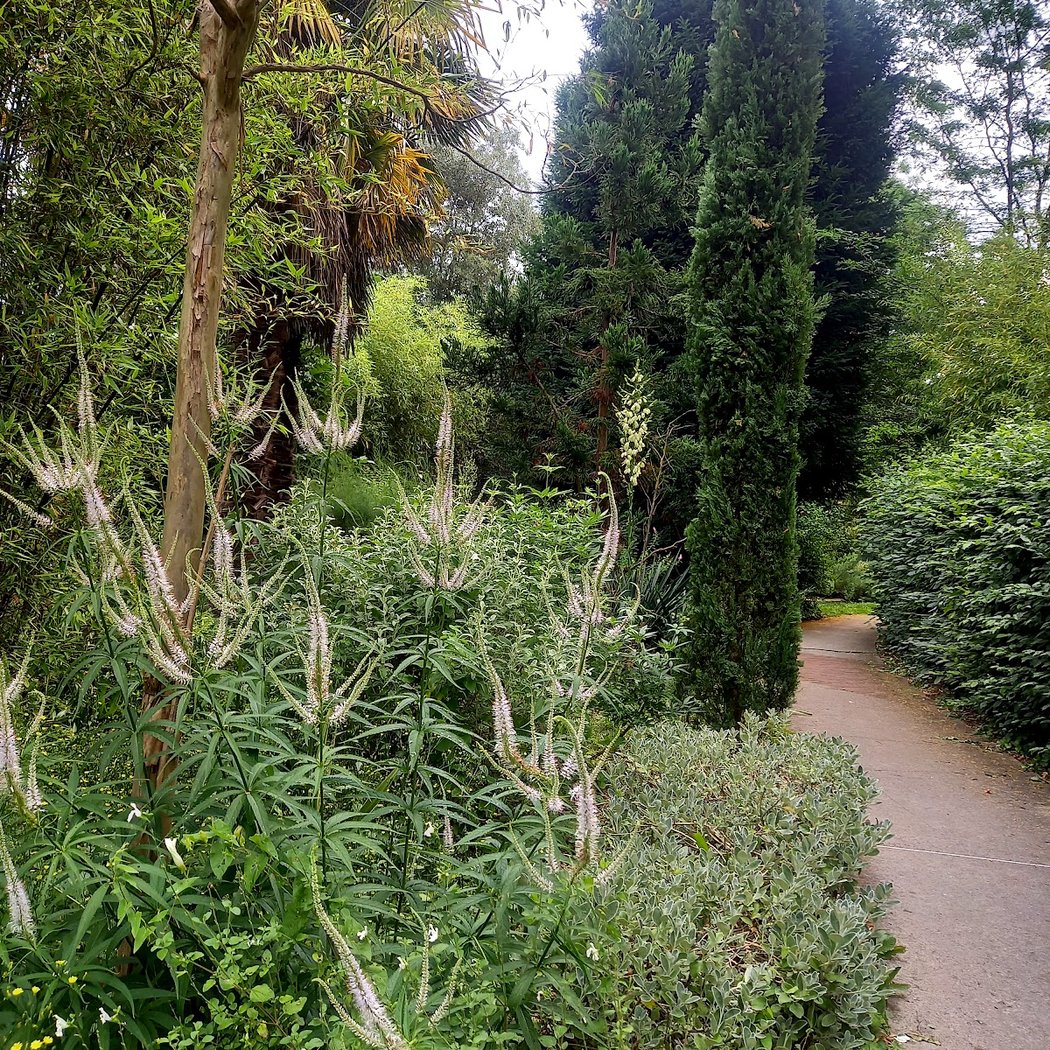 Botanical Garden 3
